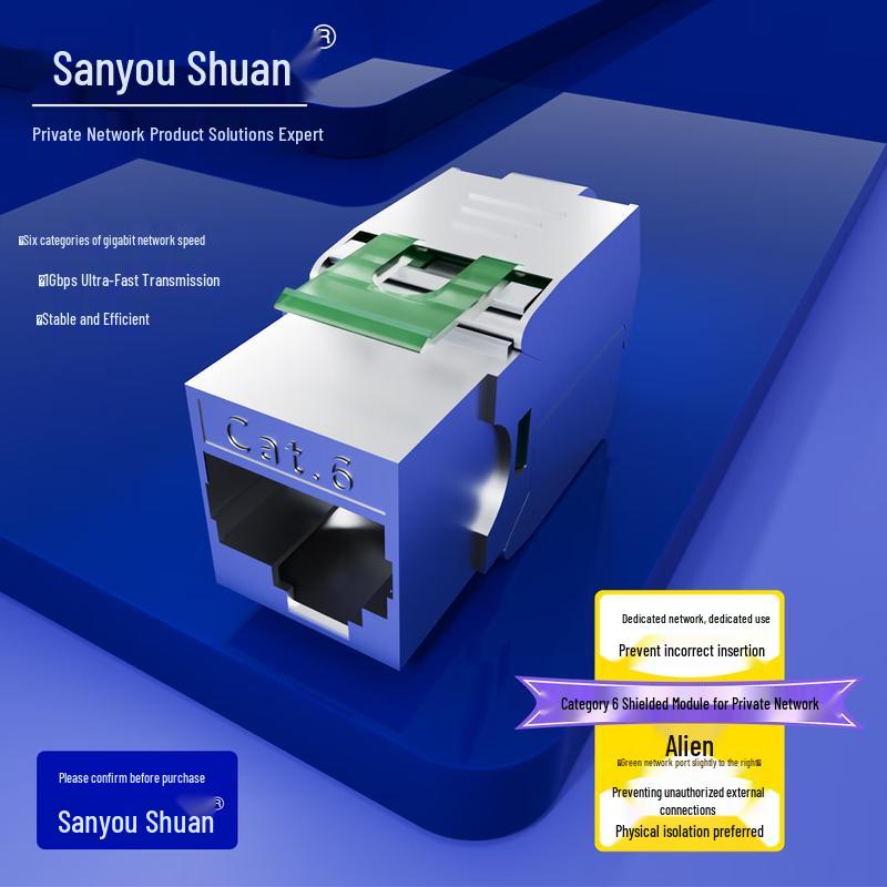Sanyou Shuan Cat6 Secure Network Conversion Module