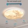 2025 Modern Minimalist LED Moon Ceiling Light for Master Bedroom