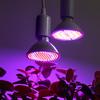 E27 LED Grow Light Bulb Full Spectrum AC85-265V Plant Lamp for Indoor Plants Hydroponics Flower Seedling