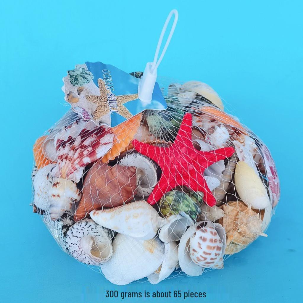 Conch Shells & Starfish for Hermit Crabs: Aquarium Decor & Drift Bottle Accessories