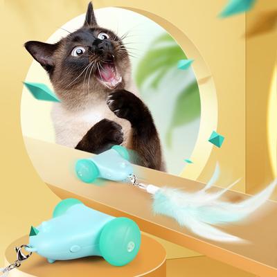 Katter – Kattleksaker