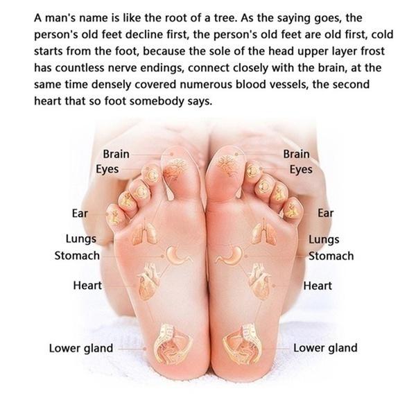 NEU 6 IN 1 Elektrisches Fußmassagegerät 24 W mit 3 Stufen Massagegeschwindigkeiten Shiatsu Kneten Wadenbein Rollmassagegerät Heimfußpflege-Massagegerät