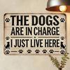 Vintage Metal Sign The Dogs Are In Charge I Just Live Here, Funny Dog Wall Decor, Rustic Distressed Aluminum