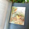 [USED] Western book, old book, first edition 1923, rare, beautiful bird encyclopedia, antique, historic encyclopedia, art book