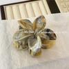 2024 High-End Elegant Frangipani Gradient Hair Claw: Colorful Shark Clip for Women