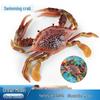 Fische & Meerestiere – Aquarien-Einrichtung