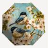 1 Stück Vögel Blumen Schirm - 8 Speichen verstärkt, Automatisches Öffnen, Leicht & Langlebig, Niedliches Modeaccessoire für Draußen - P94