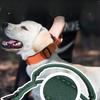Tactical Collar Nylon Pet Collar Insert Buckle Outdoor Diving Cloth Lining Medium and Large Dog Collar
