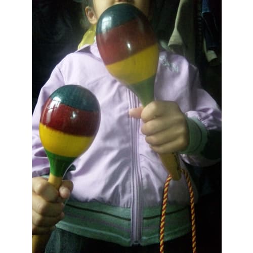 TradeWind Maracas, Latin Percussion, Wooden Shakers, Egg-Shaped, Set of 2 (Palm Tree Design), Perfect for Eurhythmics, Brass Bands, Karaoke, and Parti