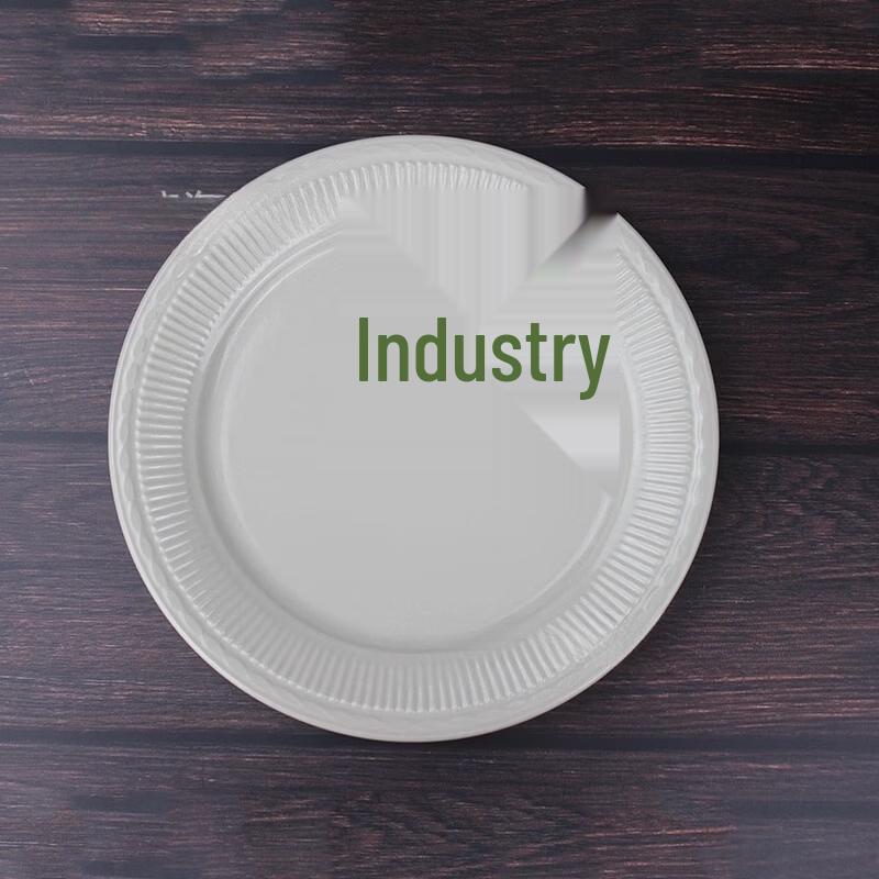 

Abay Nordic Embossed Ceramic Dinner Plate