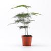 Eco Tank Pottery Jar: Ancient Flow Filtration Ornament for Oxygenating Fish, Courtyard Landscaping, and Fountain Decoration.
