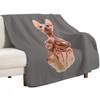 Sphynx Cat Kitten Look At My Paws Throw Blanket Cozy Throw Blanket for Bed Sofa Chair