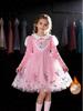 Princess Elsa Puffy Tulle Dress for Girls - Spring, Autumn, and Winter Style