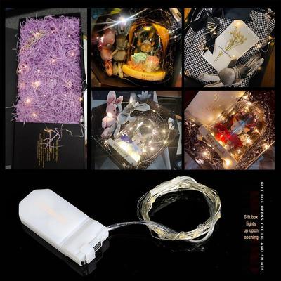 Colorful Copper Wire LED String Lights for Indoor Decoration Atmosphere