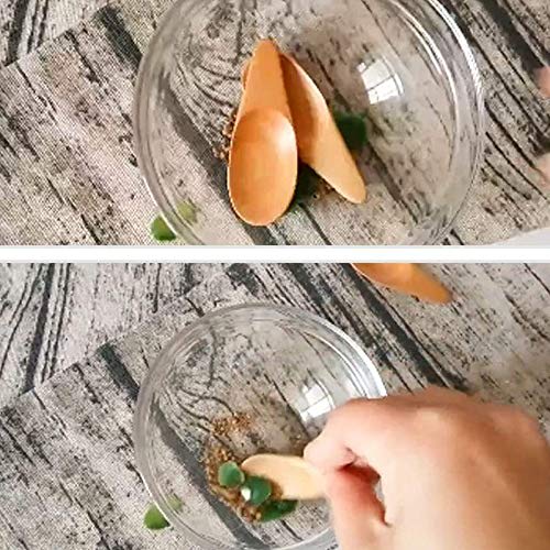 Pelsieur 5-Piece Mini Wooden Condiment Spoon with Short Handles for Coffee, Loose Tea, Milk Powder, Spices, and More