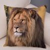 Dekor Povlak na polštář Lev africký Vzor divokého zvířete Potisk Povlak na polštář Super měkký plyšový Potah na polštář pro auto Pohovka Domov 45x45cm