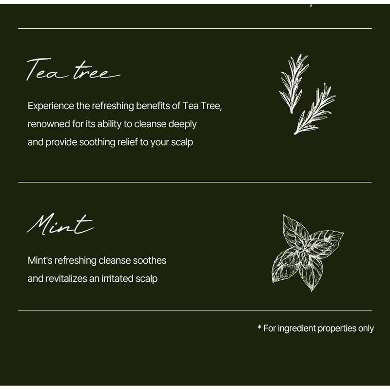 HAIR+ - Oh! Fresh Deep Herbal Scalp & Hair Pack
