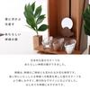 Modern Shinto Mirror, Kintoun, Walnut, 2-inch, from Kamidana no Sato