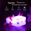 Minecraft Pixel Salamander Night Light - Illuminated Toy Lamp Model