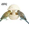 Sugar Glider Feeder Mushroom Bird Feeding Bowl No Mess Pet Cage Feeder Covered Bowl with Cover Food or Water for Small Animals Budgie Cockatiel