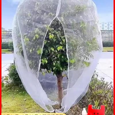 Thickened Agricultural Insect Net for Greenhouse and Plant Enclosures