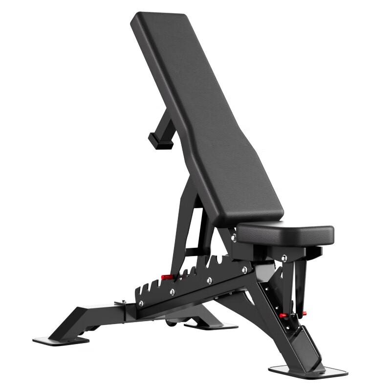 Adjustable Dumbbell & Workout Bench