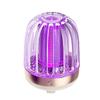 Dual-Use Electric Mosquito Killer Lamp: Rechargeable, Plug-In, with Mosquito Attractant and Repellent Functions for Household Use.