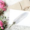 1.0mm Feather Pen Set Distinctive Calligraphy Feather Pen Gift Box Writing Tool for StudentSilver