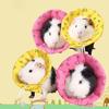 Koruyucu Koni Su Geçirmez Ayarlanabilir Polyester Evcil Hayvan için Hamster Yara İyileşme Yakalığı