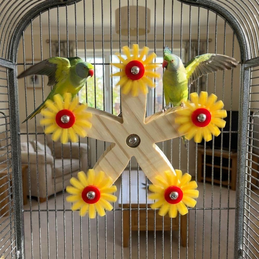 Wear Resistant Wooden Parrots Ferris Wheel Interactive Parrot Toys  Entertainment Play