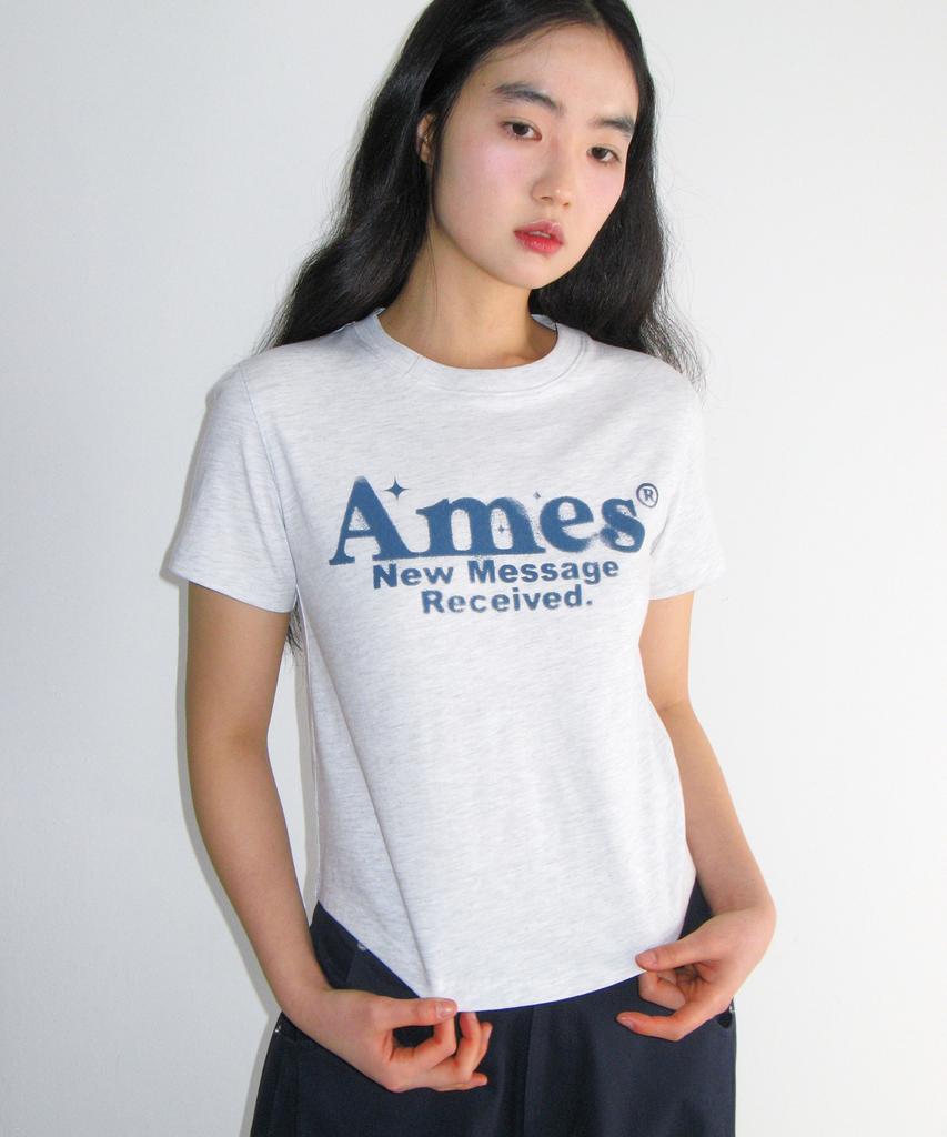 AMES-WORLDWIDE Round Hem Crop Tee Light Gray
