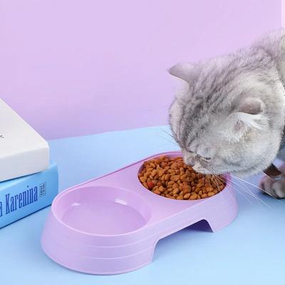Cani – Distributori di cibo e acqua per gatti