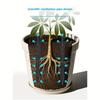 1020Pcs Plant Aeration Tubes For Pots -Root Rot Preventionprevent Overwatering For Healthy Rootswet-Dry Cycle.Gardening Tools