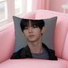 actor fresh DDohoon Cushion Cover Pillow Case Soft Skin Friendly Fabric  Concealed Zipper