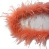 Ostrich Top Clothing Accessories Feather Fleece Stage Performance Props Ostrich Fleece