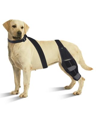 Dog Leg Knee Brace Straps Protection Pet Knee Pads Adjustable Dogs Leg Support Dogs Accessories for Leg Joint Wrap Supports