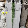 Artificial Spider Plant & Fern Hanging Decor - Trailing Green Vines for Wall & Ceiling