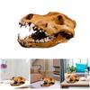 Resins Wolf Skull Artifact Decoration Realistic Animal Head Model for Home Desk Bookshelves Decors Collectible Ornament