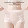 Audifen Women's High-Waist Lace Antibacterial Briefs (3-Pack)