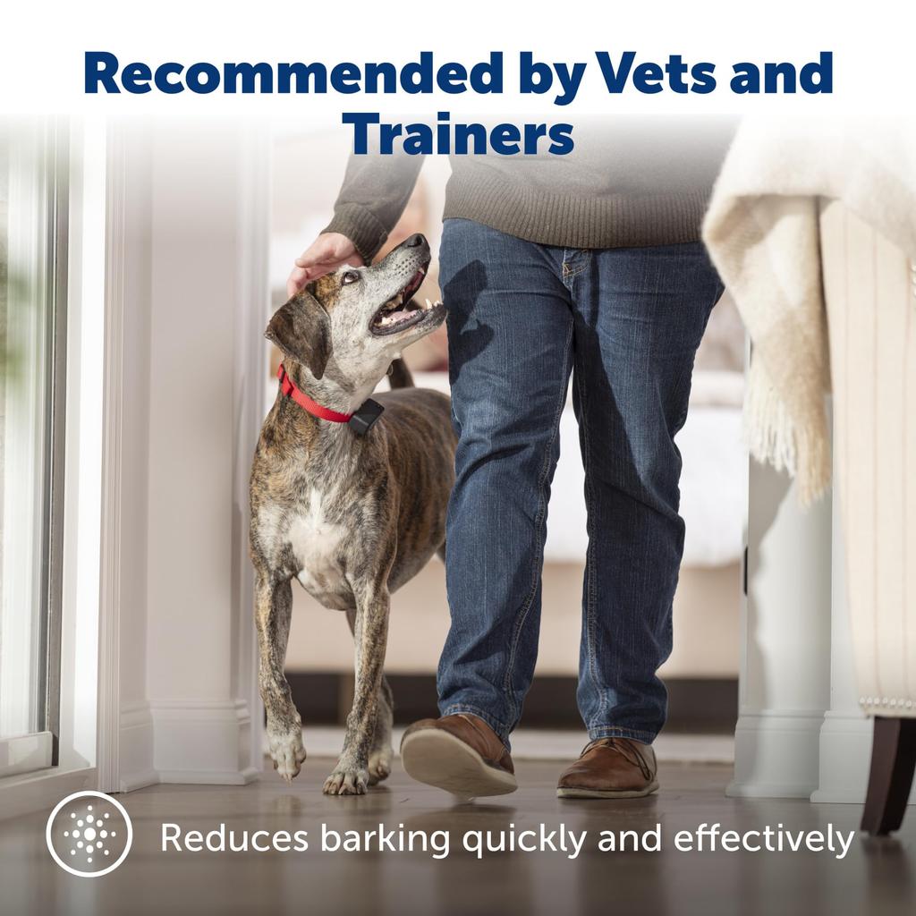 Petsafe Basic Bark Control Collar for Dogs