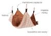 Hammock for Rodents 45X45 Brown Polka Dots + Brown Minky