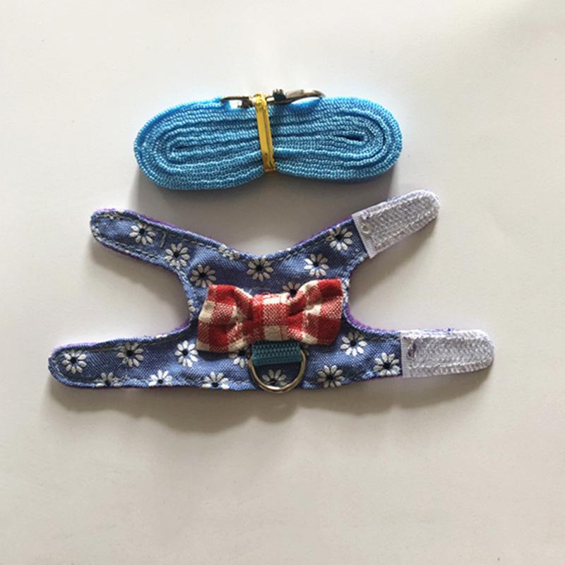 Adjustable Leash and Harness for Small Pets: Rabbit, Chinchilla, Ferret, Squirrel, Hamster, Guinea Pig, Mouse