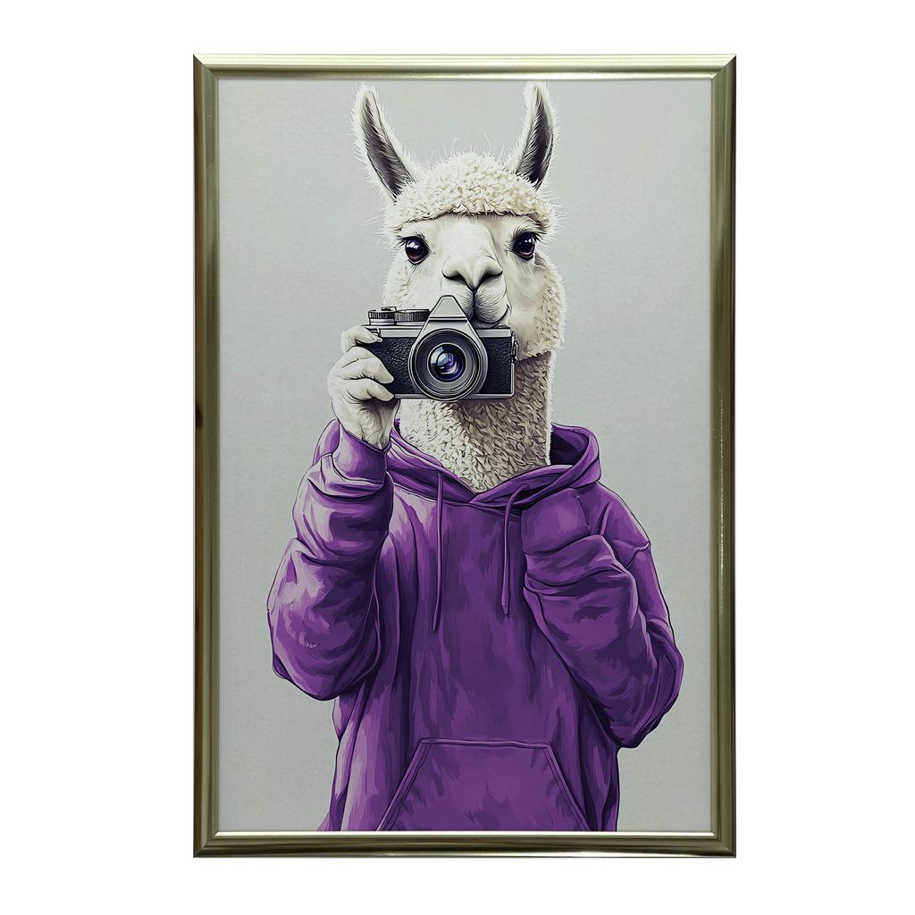 Plakat Lama W Fioletowym Hoodie Z Aparatem Plakat Lama W Fioletowym Hoodie Z Aparatem, 30X40 Cm, Bez Ramy, Płótno Premium Na Blejtramie