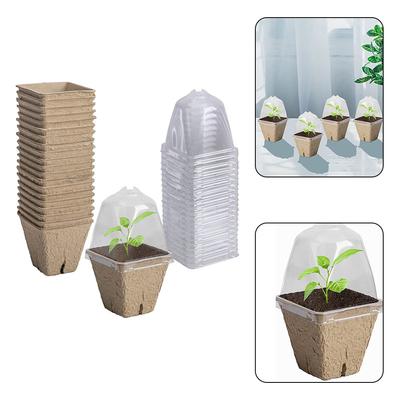 Plant Pots Biodegradable For Grow Nursery Paper Plant Care
