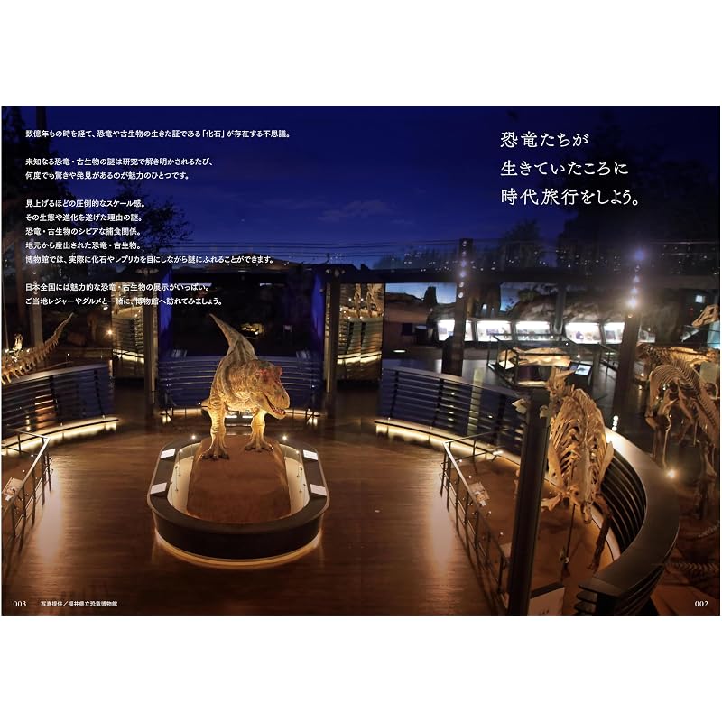 Traveling Illustrated Guide: 100 Dinosaur and Paleontology Museums Across Japan (Traveling Illustrated Guide Series)