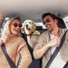 Cross-Border Detachable Waterproof & Stain-Resistant Dog Car Seat Mat