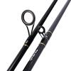 DAIWA Entry-Level Lightweight Lure Fishing Rod