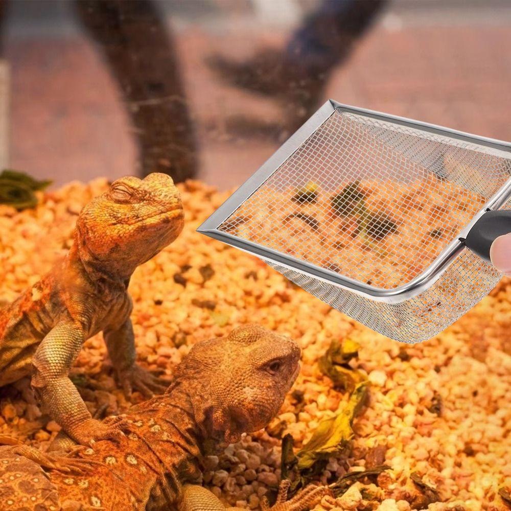 Stainless Steel Reptile Sand Shovel Comfortable Grip Substrate Cleaner Scoop Bearded Dragon Cage