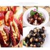 Red Dates Corer Jujube Pitter Cherry Olive Corer Stainless Steel Fruit Core Remover Seed Push Out Tool Vegetable Tools Kitchen Gadgets - DD