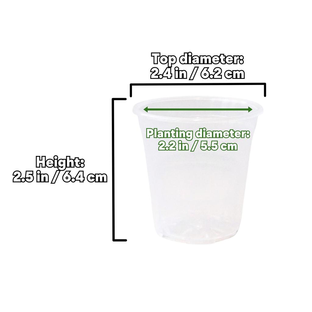 Clear Nursery Pots, 2 Inch Plant Pots with Drainage Holes | Sturdy and Transparent Plastic Flower Pots | Multipurpose Planters for Indoor and Outdoor